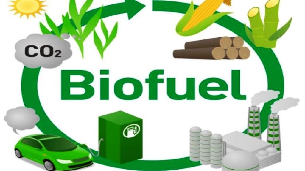 Why Talk About Biofuels?