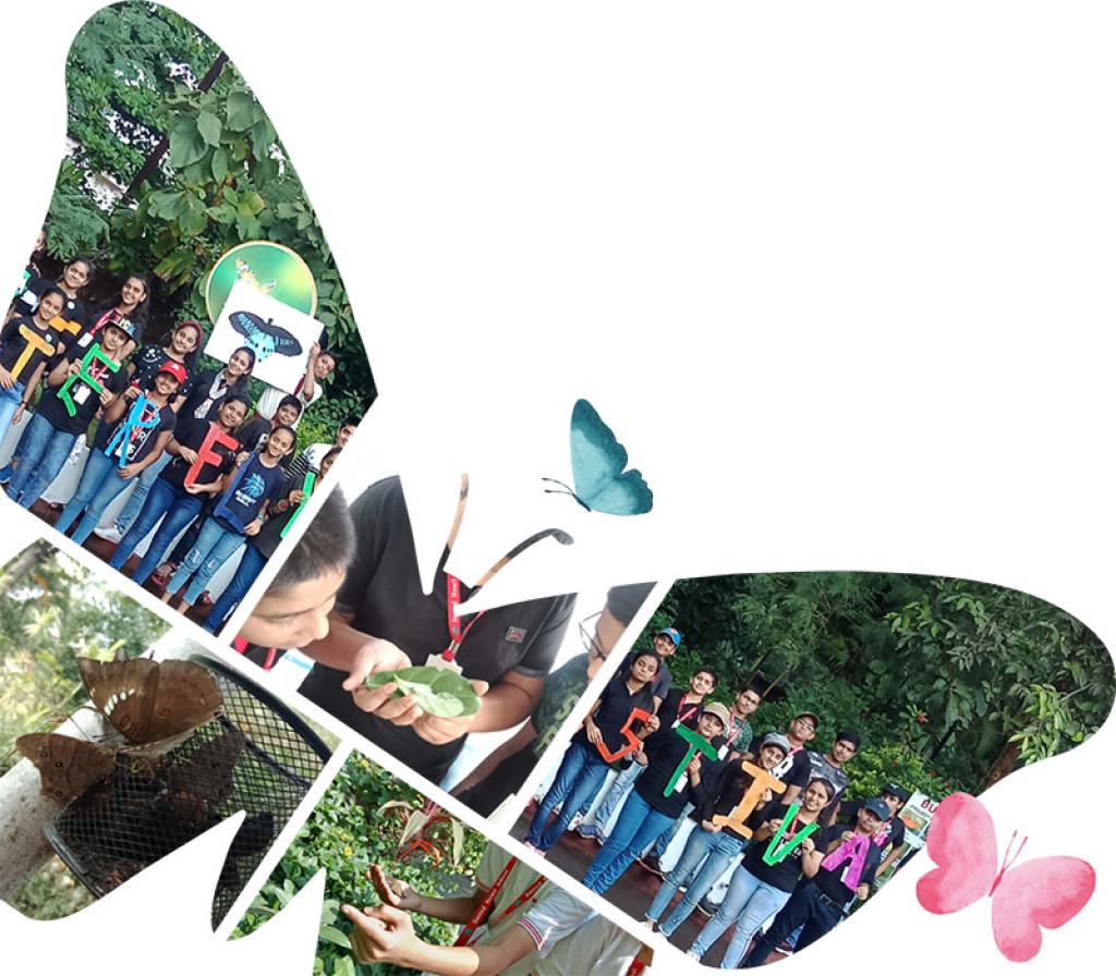 The Butterfly Garden Initiative