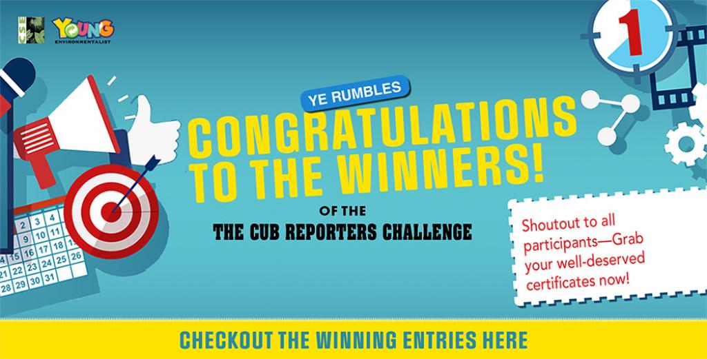 The Cub Reporters Challenge—Results