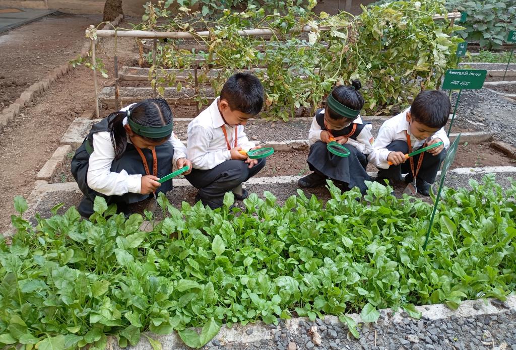 Students observing flora in school