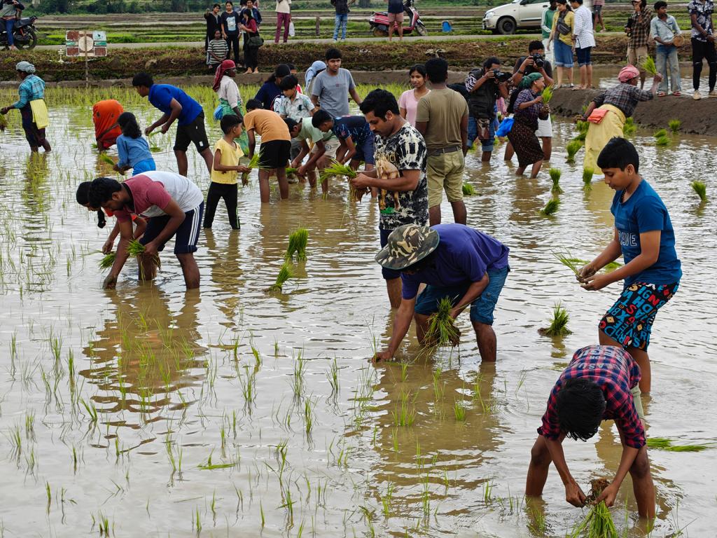Kambalanatti is a traditional paddy transplanting festival celebrated in the Wayanad district of Kerala, India, where the entire community&mdash;including men, women, and children&mdash;join together to plant rice