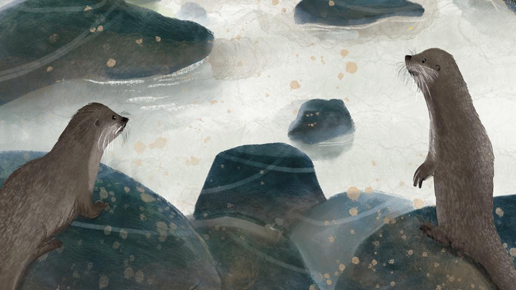 On the Trail of the Otter