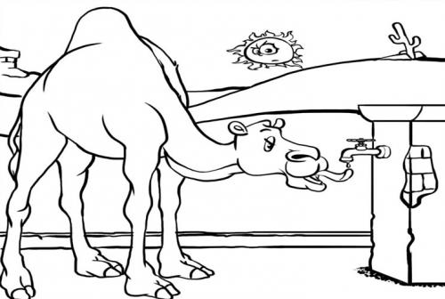 Thirsty Camel and Water Tap