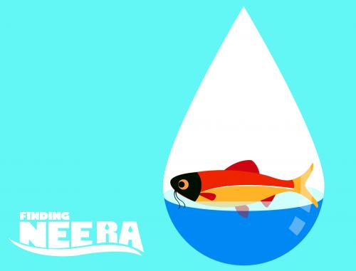Finding Neera