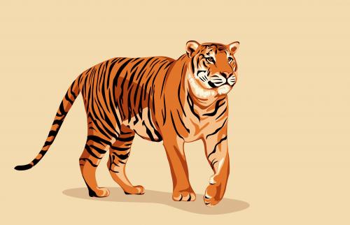 Why Do We Need Tigers?