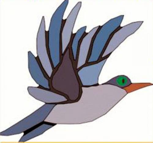 Why Talk About Birds?