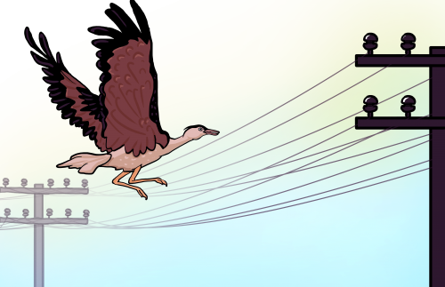 The Inglorious Bustards