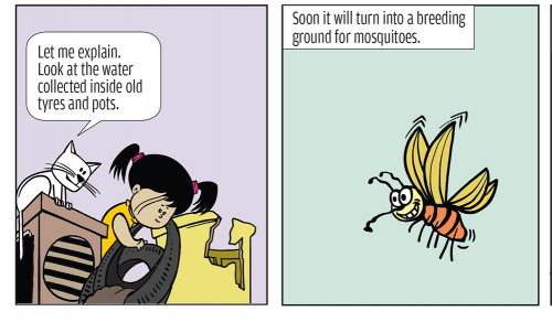 Precaution Against Dengue and Chikungunya