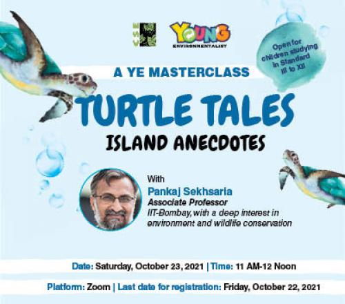 MasterClass: Turtle Tales, Island Anecdotes