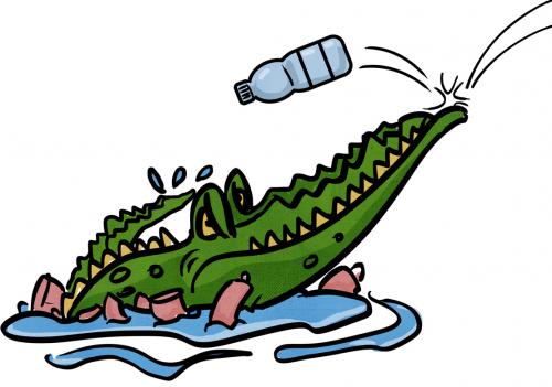 Magar, the Crocodile, Cleans His River Home