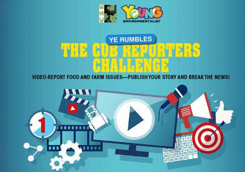The Cub Reporters Challenge