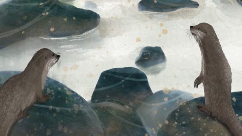 On the Trail of the Otter