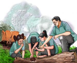 The Mysterious World of Moulds