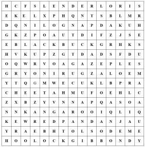 Wild Words Safari