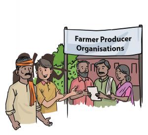 Farmers Team Up: All About Farmer Producer Organisations