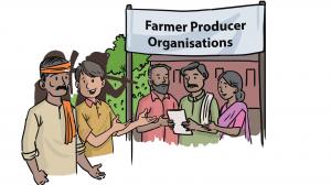 Farmers Team Up: All About Farmer Producer Organisations