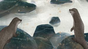 On the Trail of the Otter